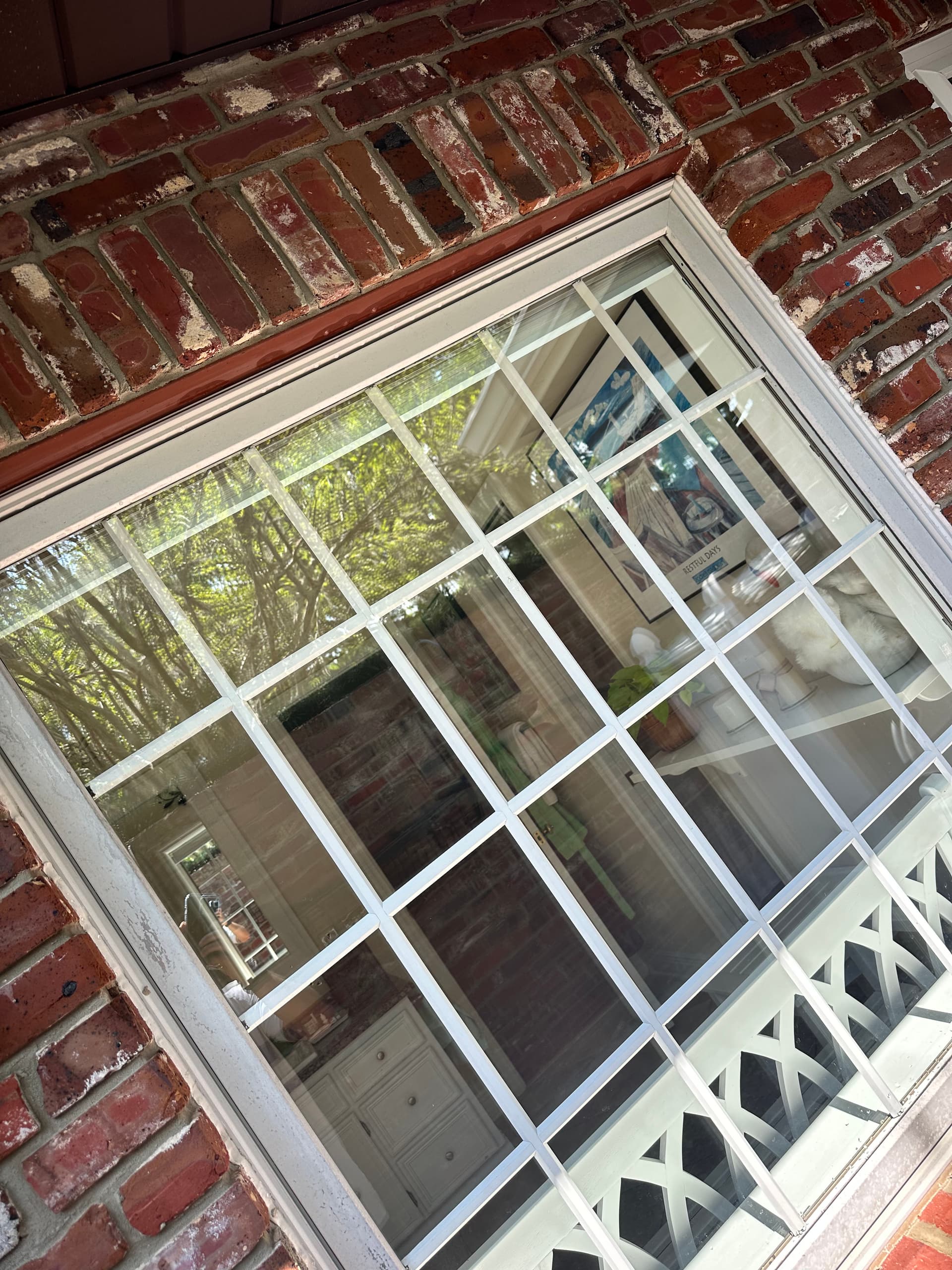Gallery photos for Winterhaven Windows Shine with Expert Care: Image #1