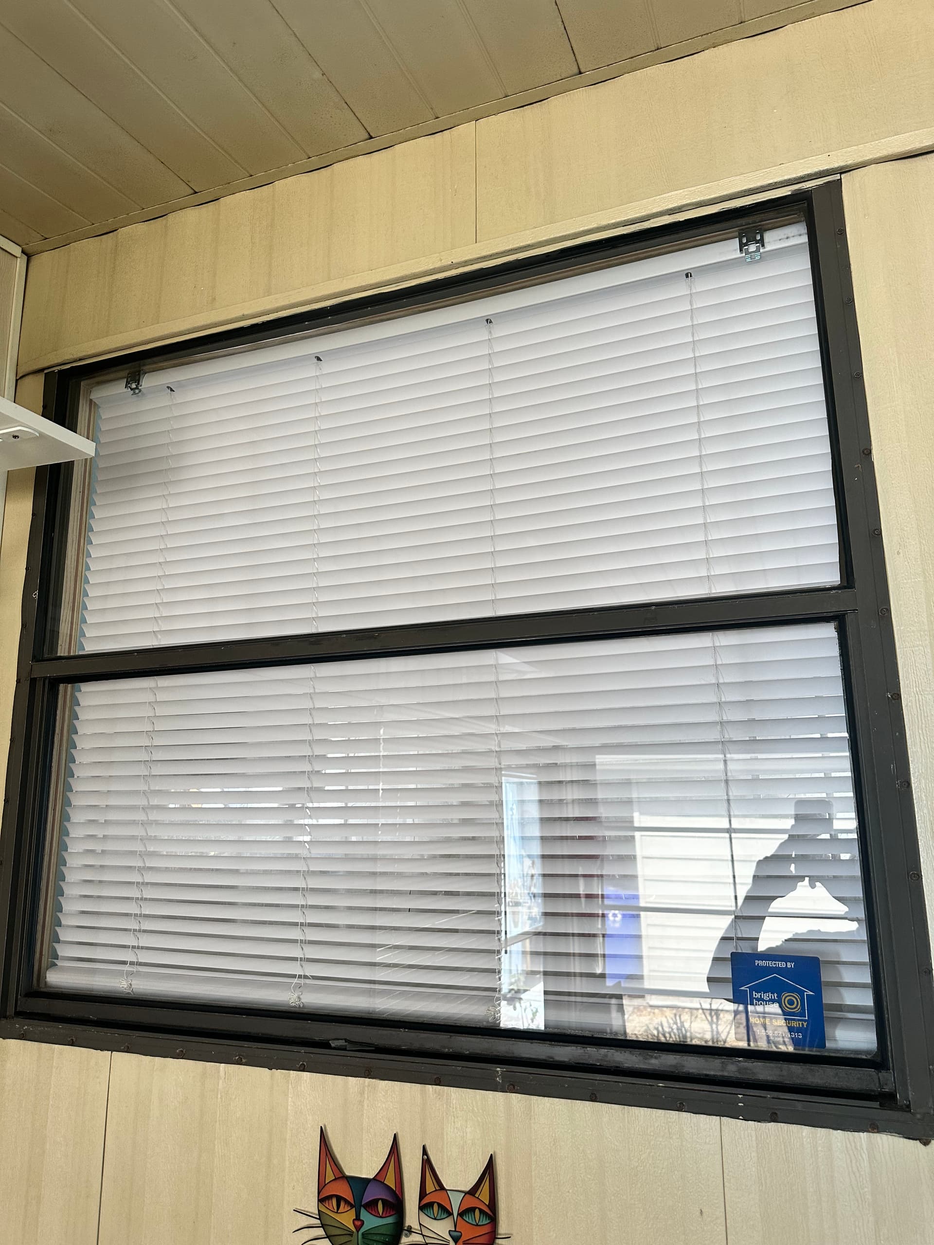Clean Exterior Glass Makes a Bigger Difference Than You Think image