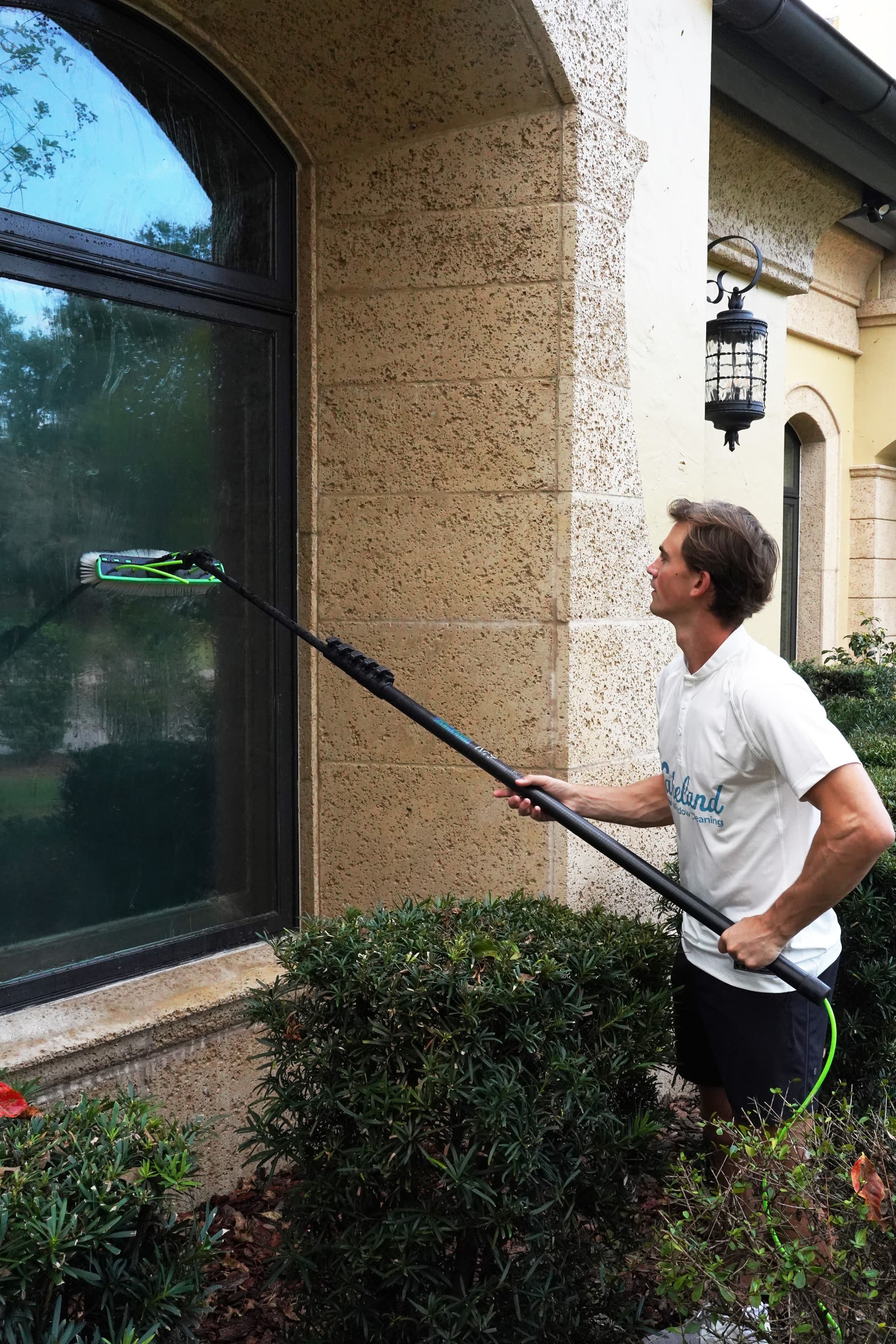 Complete Home Clean-Up in Mulberry image