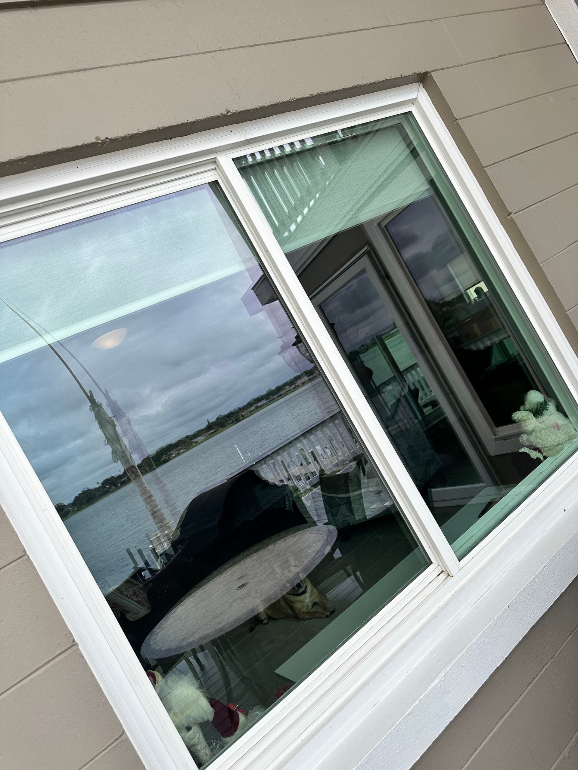 Crystal-Clear Windows That Actually Let the View In image