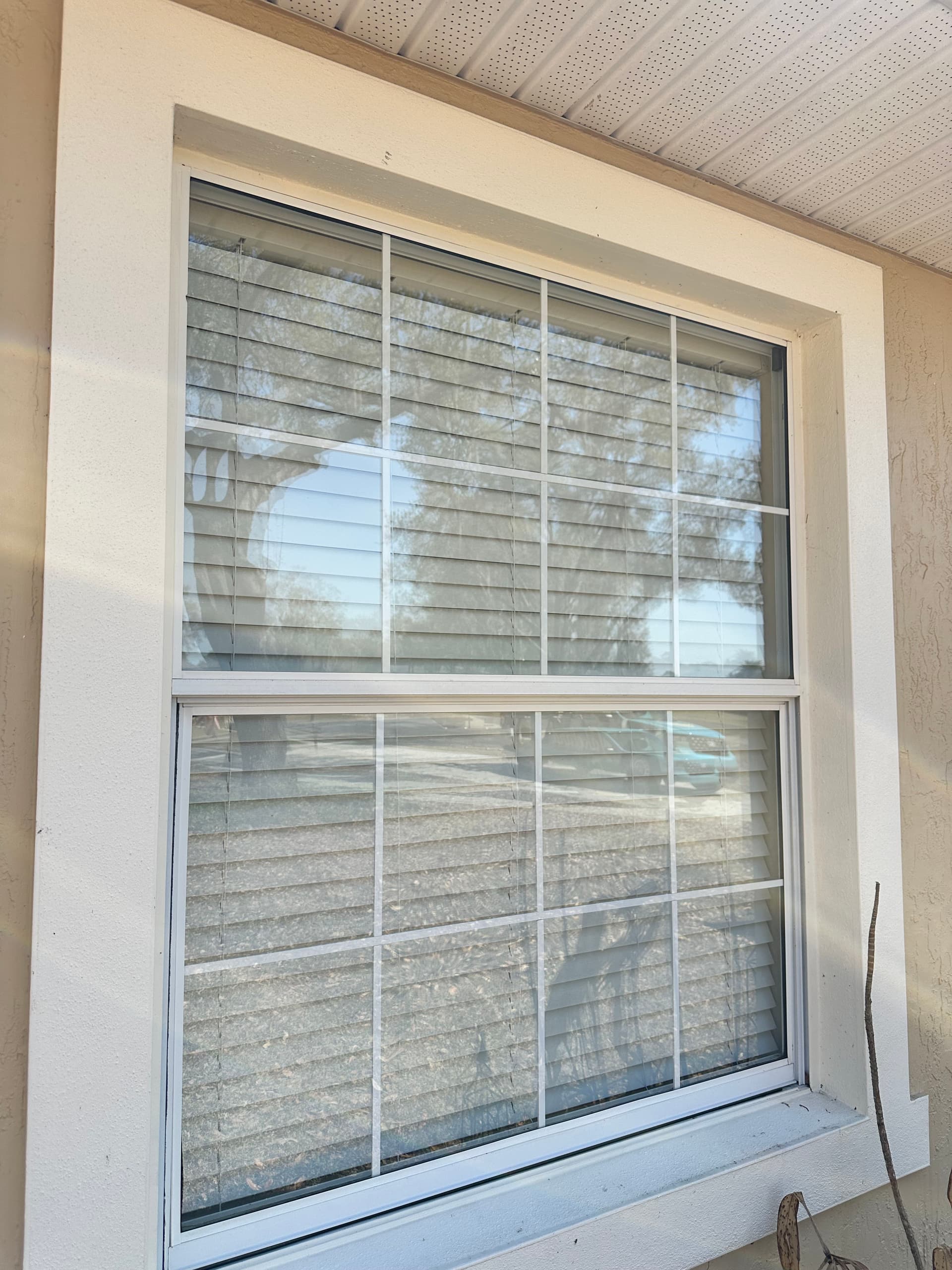 Gallery photos for Spotless Windows in Lakeland FL: Image #1