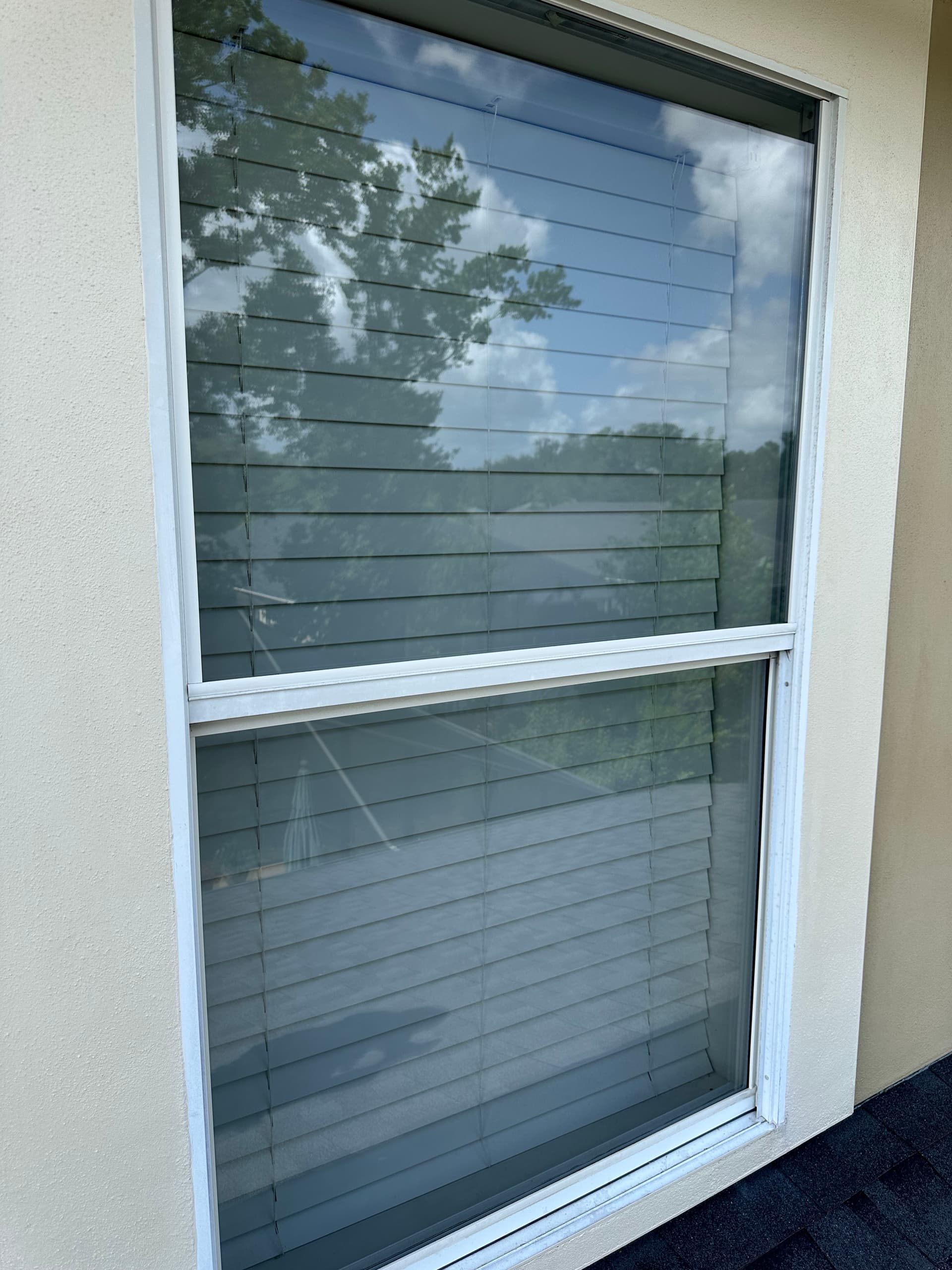 Clean Windows Make a Bigger Difference Than You Think image