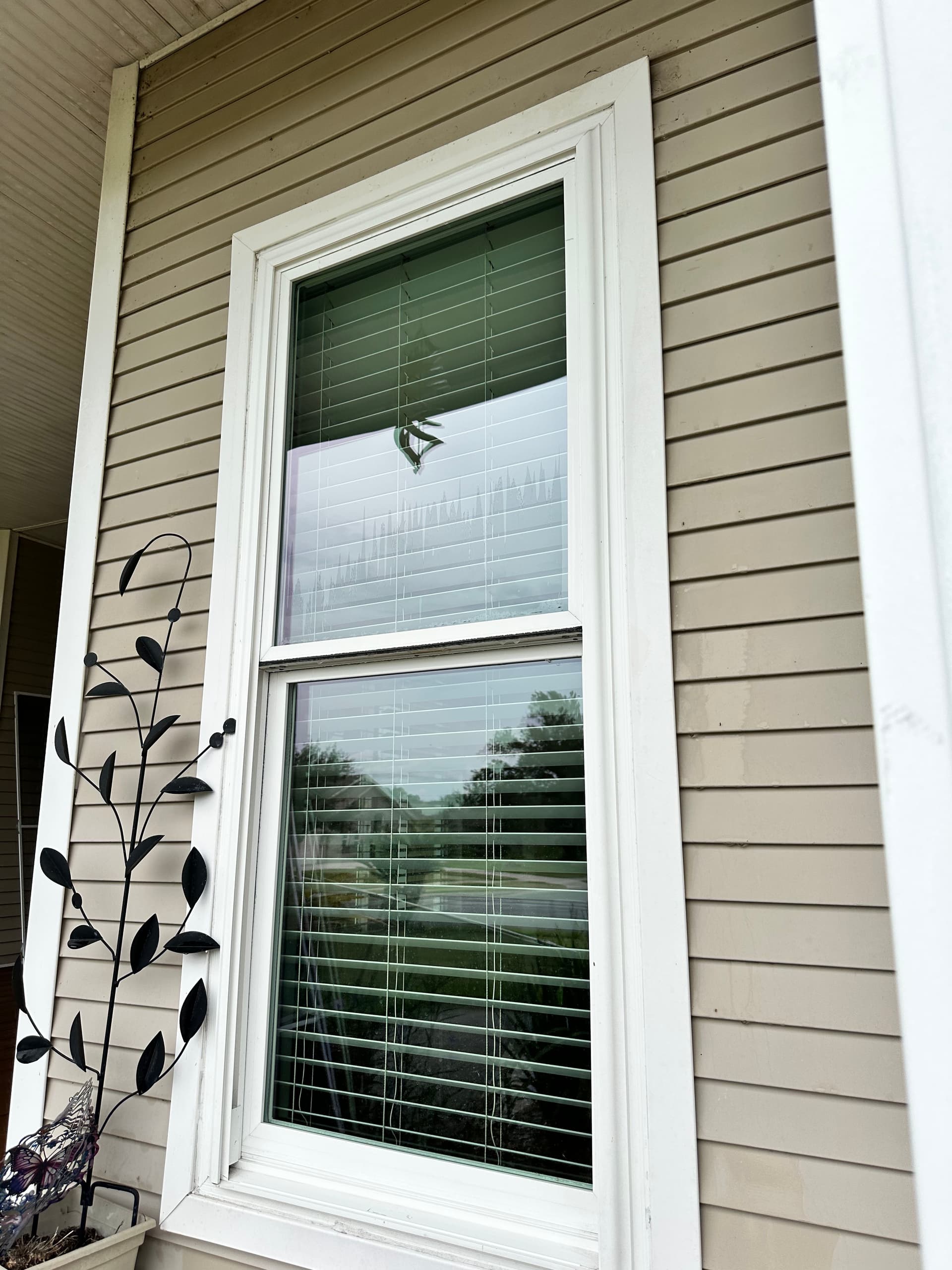 Clean Exterior Windows Make Your Home Look Sharp image