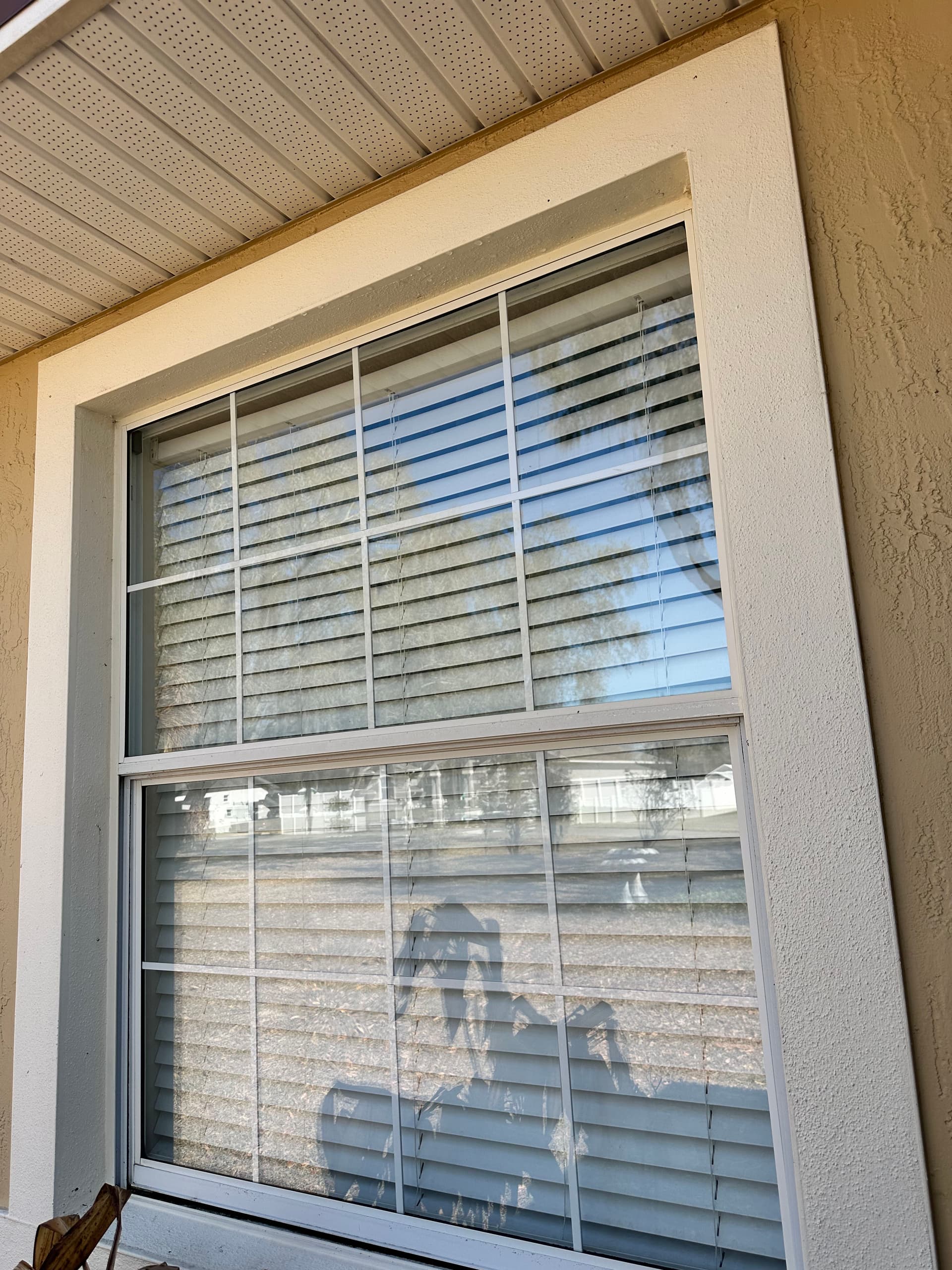 Gallery photos for Spotless Windows in Lakeland FL: Image #2